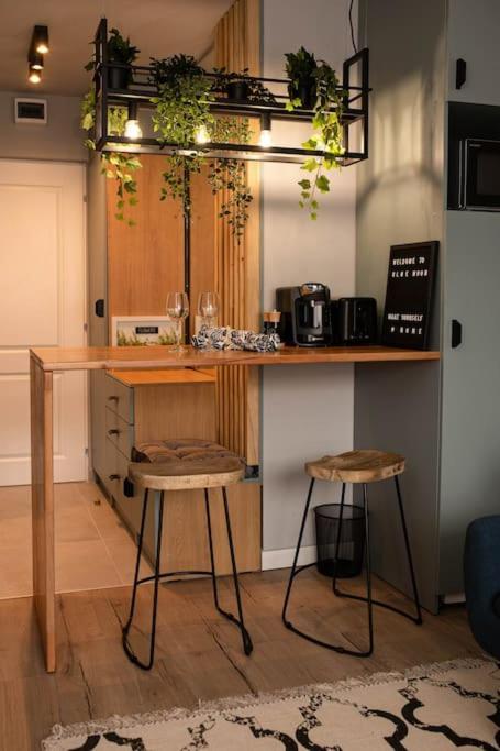 Blue Moon. Cozy Apartment Near Iulius Mall Клуж-Напока Екстериор снимка