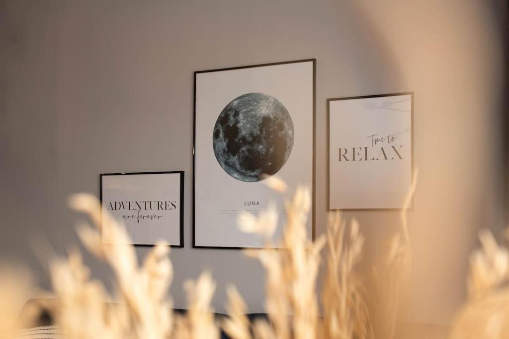 Blue Moon. Cozy Apartment Near Iulius Mall Клуж-Напока Екстериор снимка