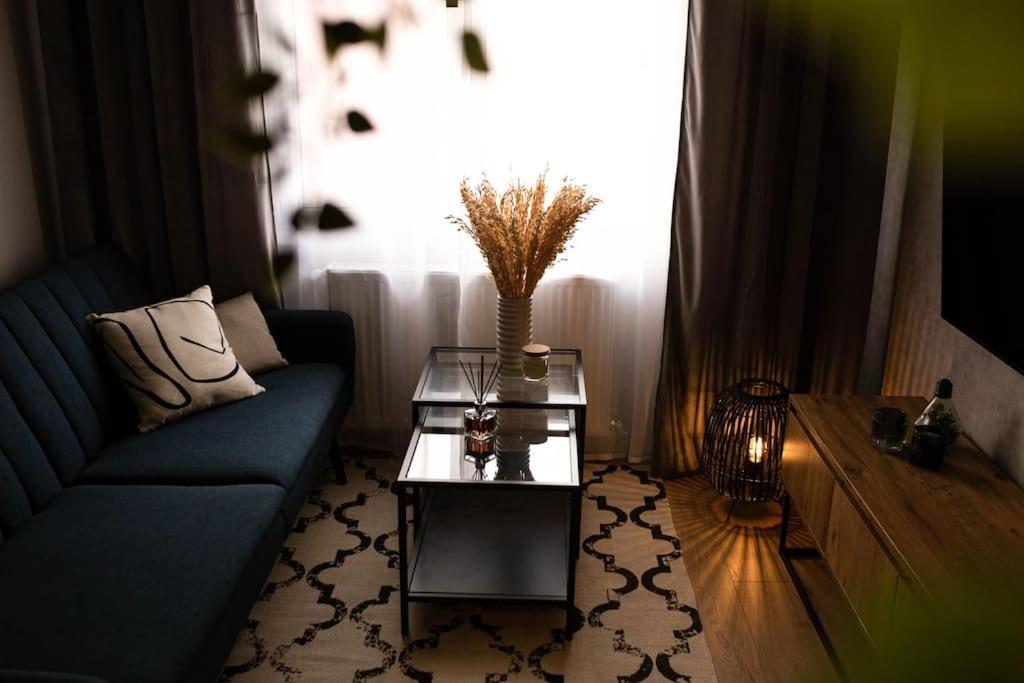 Blue Moon. Cozy Apartment Near Iulius Mall Клуж-Напока Екстериор снимка