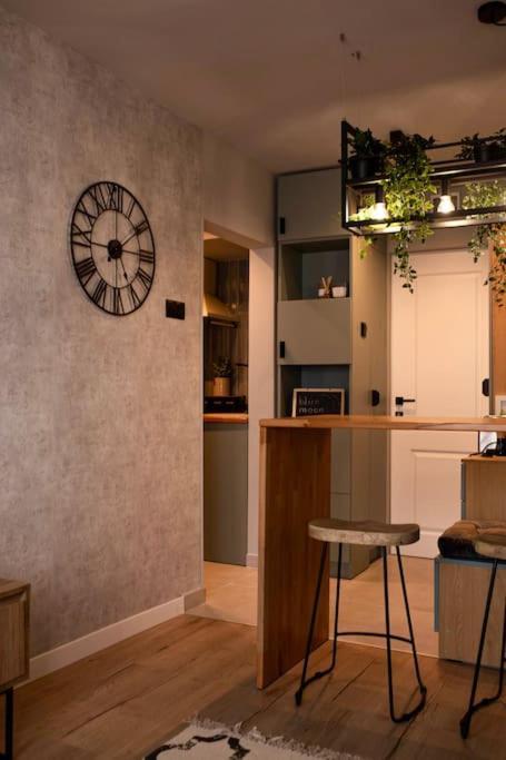Blue Moon. Cozy Apartment Near Iulius Mall Клуж-Напока Екстериор снимка